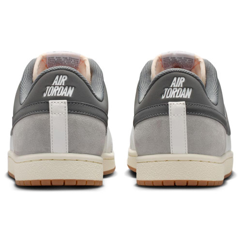 Nike Air Jordan Skyline Low LE